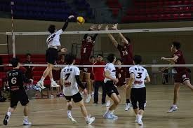 目前女篮最佳阵容应该是：中锋：李月汝，韩旭，张子宇（刘雨彤）。前锋：罗欣棫，张茹，张宇，杨舒予，邓雨婷（唐子婷）。后卫：杨力维，陈玉捷，张曼曼曼，王丽丽（田媛媛）。