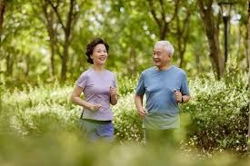 长三角马术联赛总决赛杭州收官 赛事流量转为消费留量